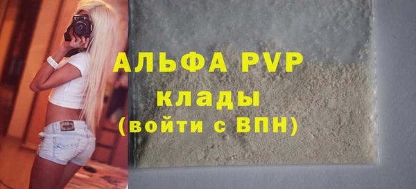 прущие грибы Бронницы