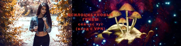 прущие грибы Бронницы