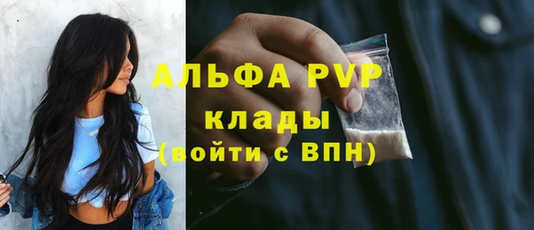 прущие грибы Бронницы