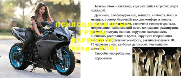 героин Бородино