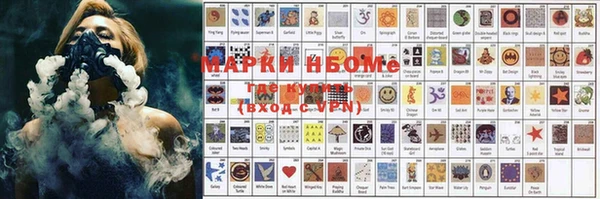 прущие грибы Бронницы