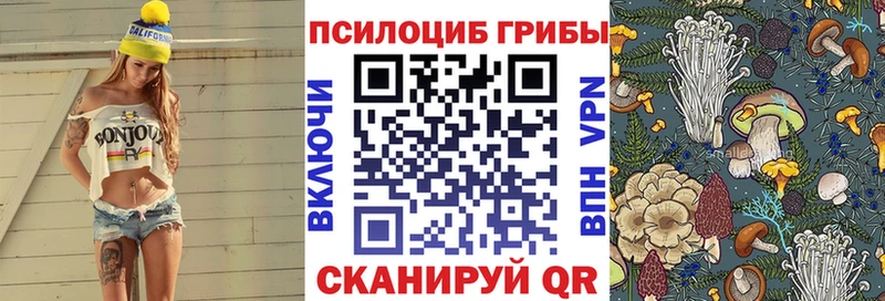 где можно купить Сочи Псилоцибиновые грибы мицелий